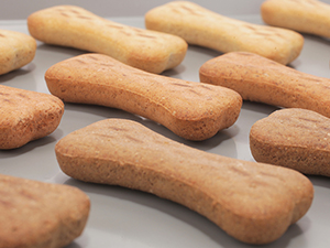 Dog biscuits