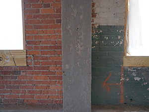Lead paint removal